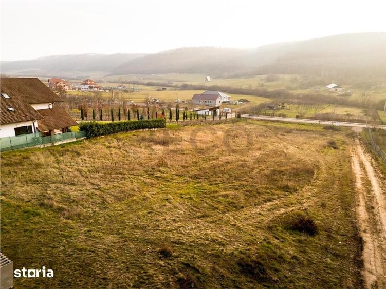 RECO Teren intravilan Sanmartin- langa padure - 4