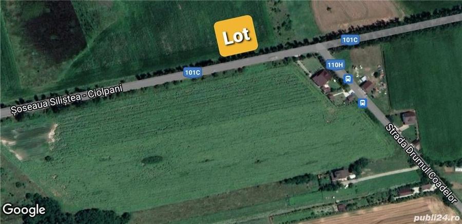SUPER OFERTA: Stradal Intravilan Ciolpani-Ilfov - 5