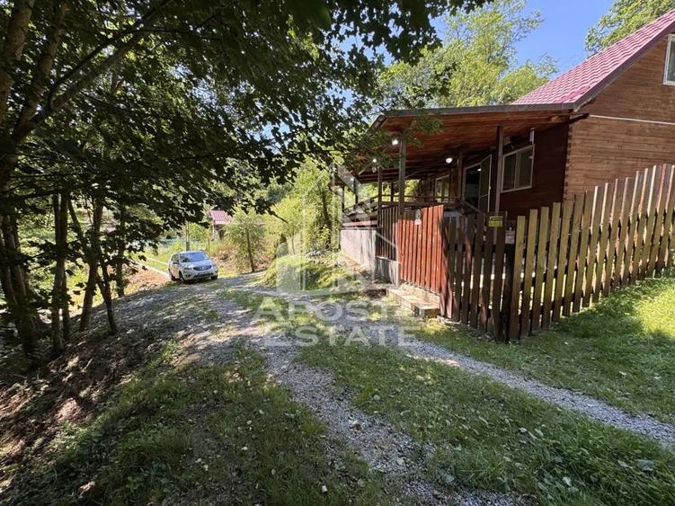 Casa din lemn, zona muntoasa, cu rau, la cheie, Ribita, Hunedoara - 17