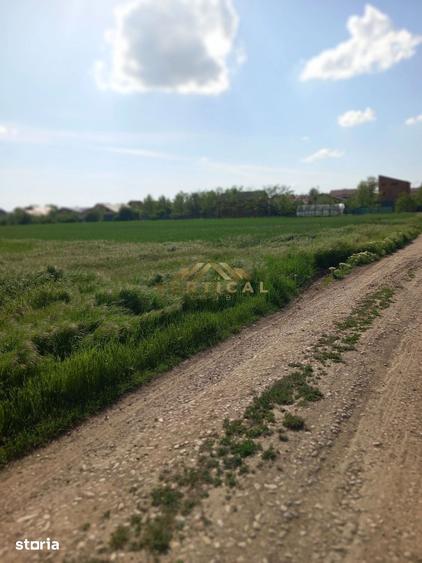 Teren de 539 mp, în Vidra