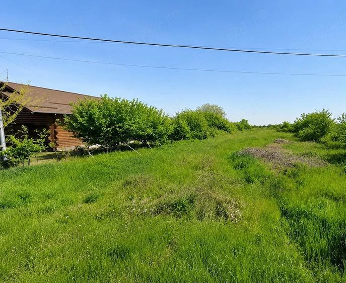Teren de 3282 mp, în Clinceni