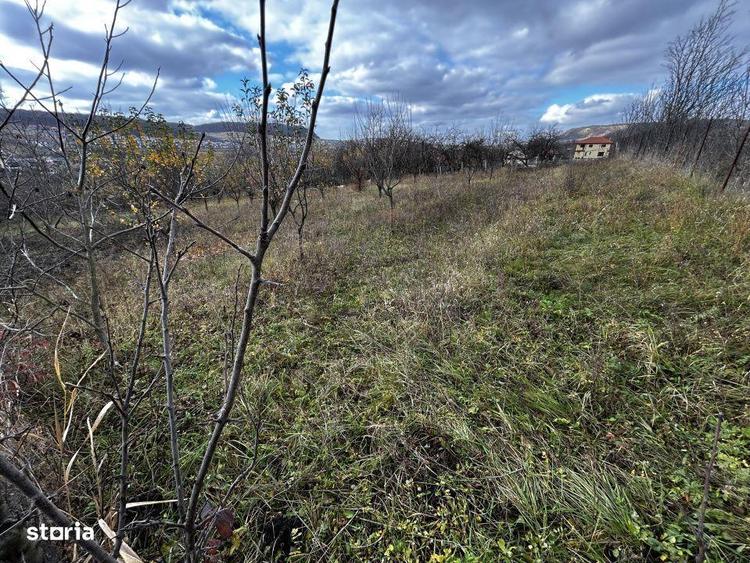 Teren de 1250 mp, în Chinteni