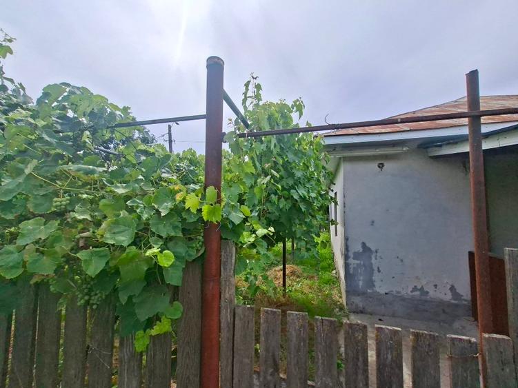 Casă individuală cu 3 camere cu Teren 1000 Mp în Didești