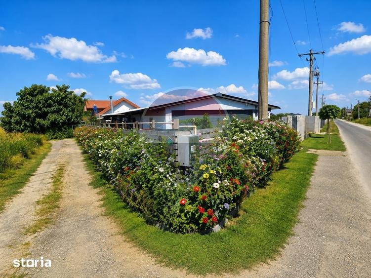 Casă cu 3 camere cu Teren 469 Mp în Cernica