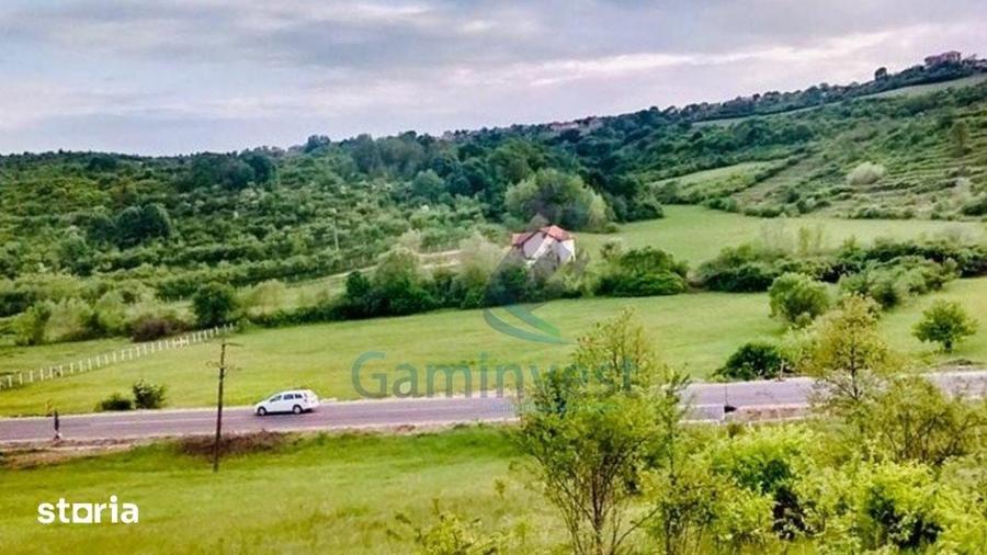 Gaminvest Teren de vanzare, la iesirea din Baile Felix, Bihor,V2897 - 1