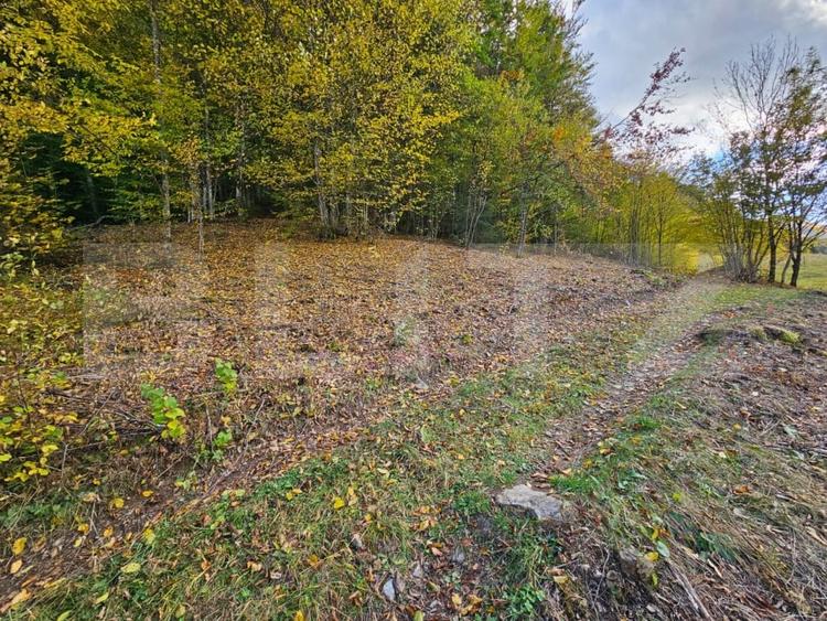 Teren Construcții extravilan de 2710 mp, în Nemeși
