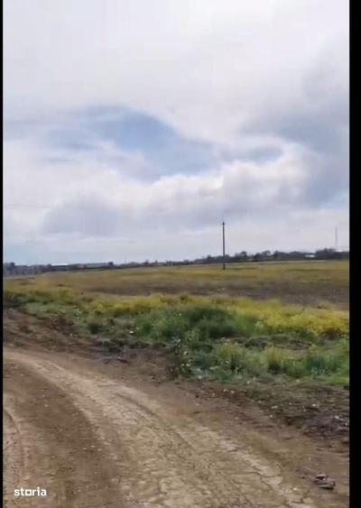 Teren intravilan in orasul Magurele, la limita cu Bucurestiul - 7
