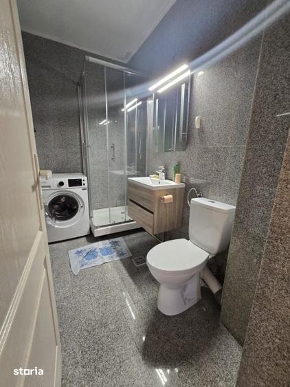 Apartament cu 1 camera de inchiriat, 32 mp Strada Victoriei, Baia - 6