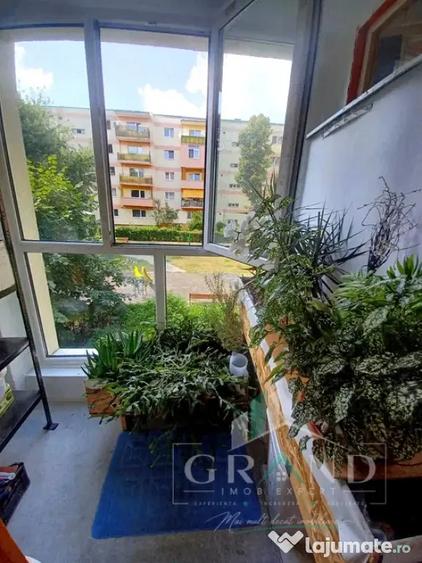 Garsonieră, mobilată în Grigorescu