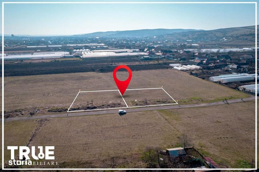 Spațiu comercial, în Curteni