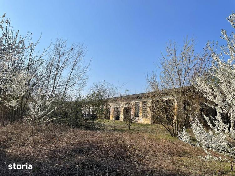 Spațiu comercial, de 9,059 mp, în Central