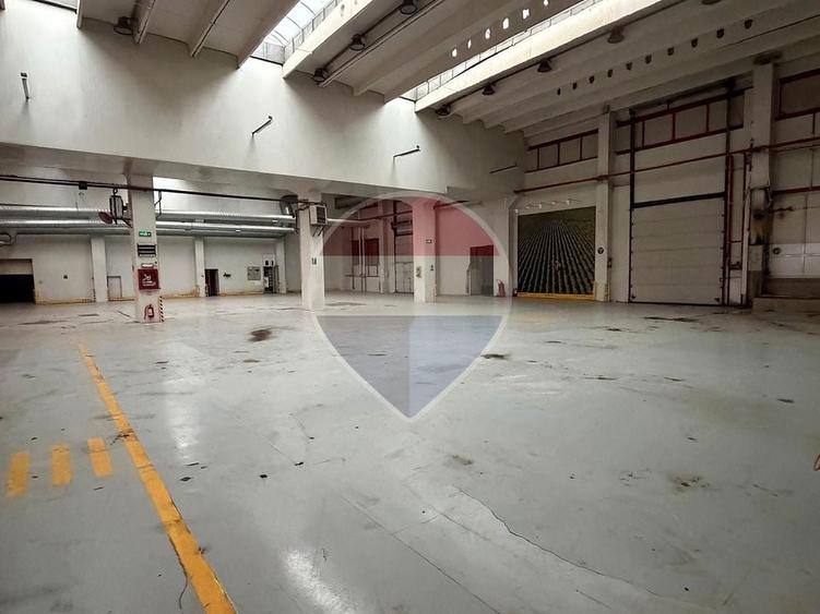 Spațiu industrial, de 9,317 mp, în Theodor Pallady