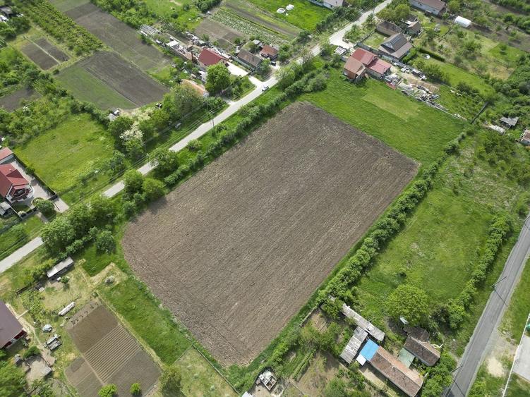 Teren Construcții intravilan de 3090 mp, în Cuvin