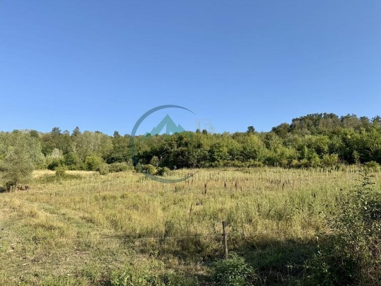 Teren agricol extravilan de 33290 mp, în Lupșa de Sus