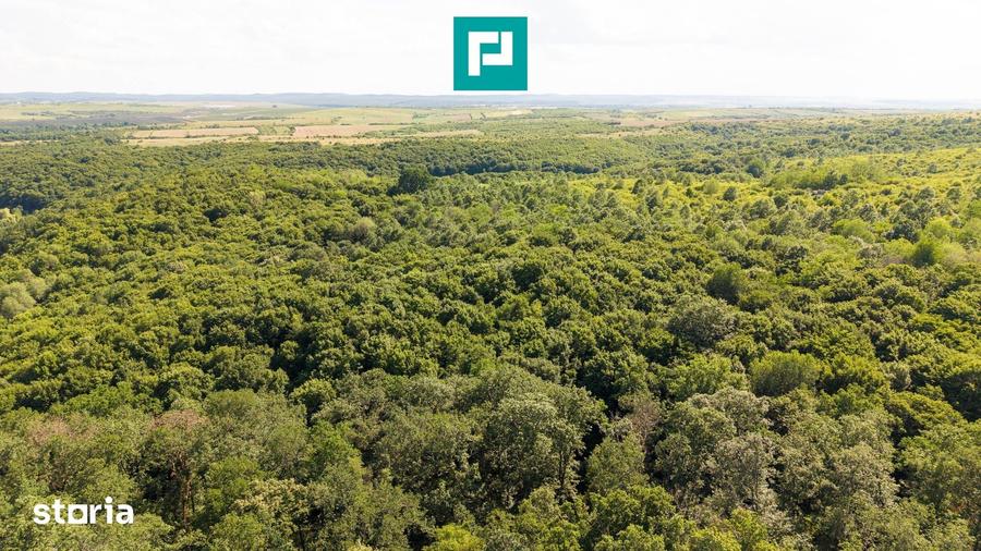 Teren de 22900 mp, în Central