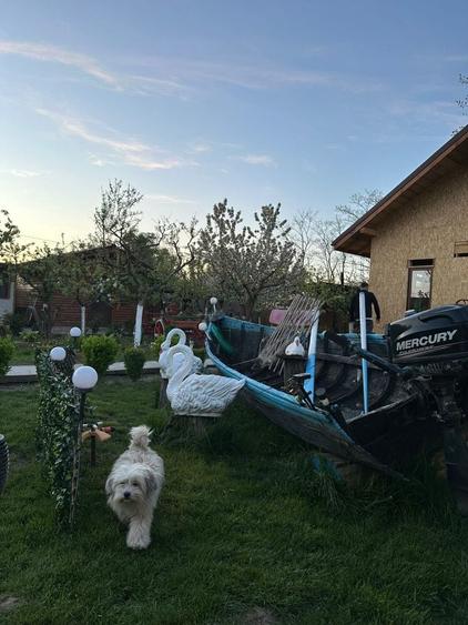 Casă cu 3 camere cu Teren 2700 Mp în Victoria