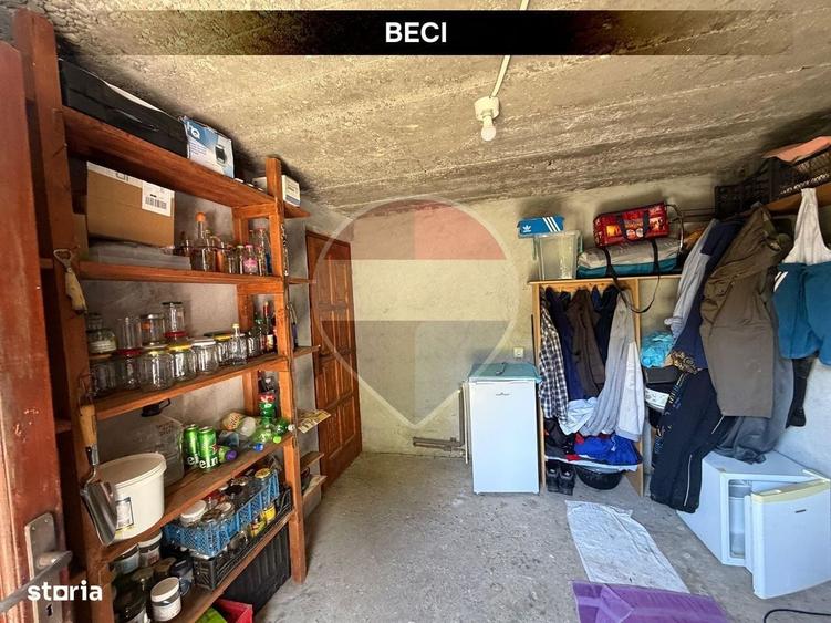 Casă cu 3 camere în Valea Borcutului