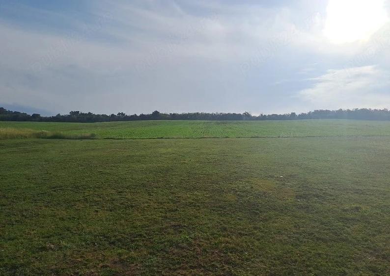 Teren de 31400 mp, în Răzoare