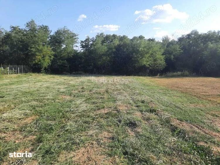 Teren intravilan 2600 mp cu toate utilitatile la strada Babeni Valcea