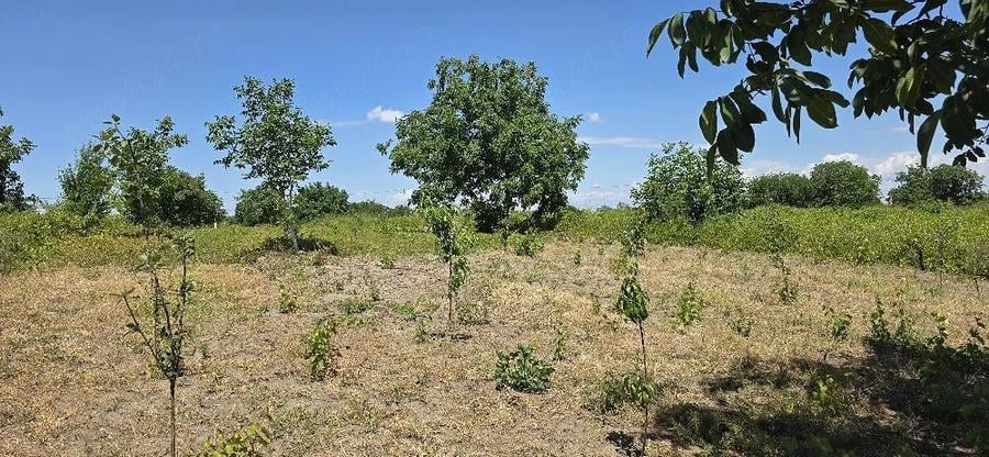 Teren de 2072 mp, în Stăncești