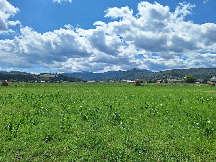 Teren de 4400 mp, în Vama Buzăului