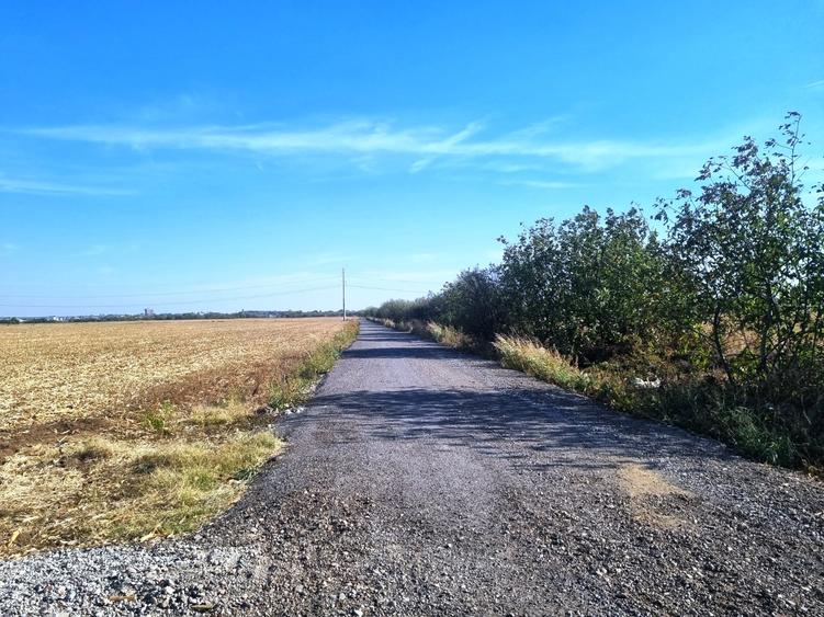 Vanzare Teren  industrial \5000mpMagurele Varteju - 8