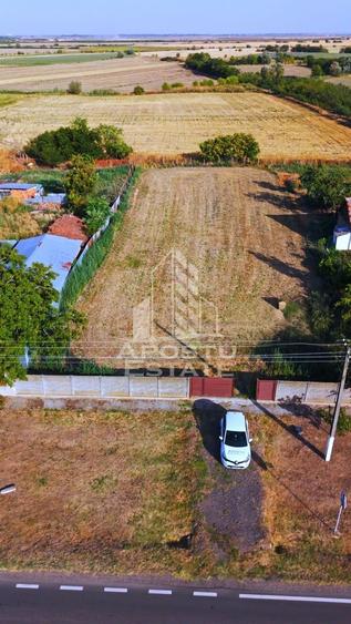 Teren Construcții intravilan de 13200 mp, în Foeni