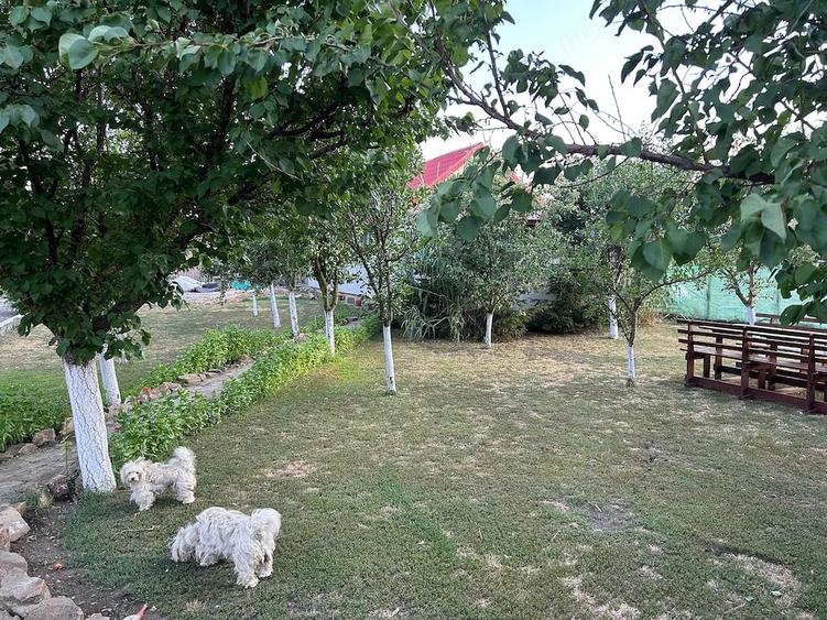 Casă cu Teren 7000 Mp în Central
