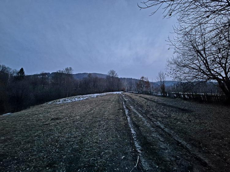 Teren agricol extravilan de 5000 mp, în Șinca Nouă