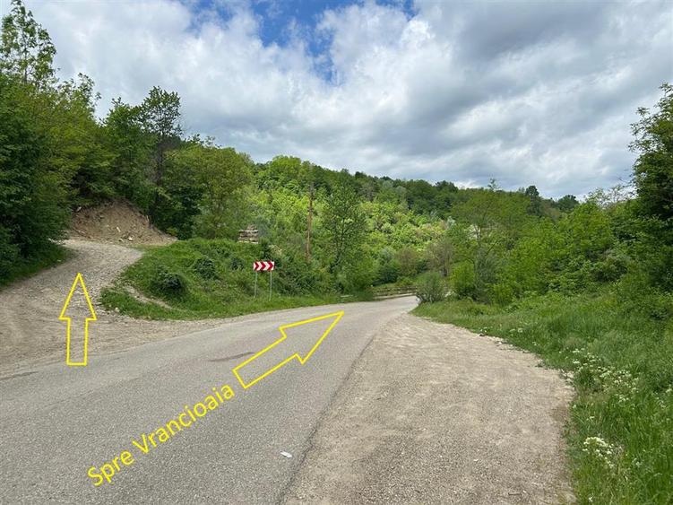 Casă individuală cu 6 camere cu Teren 3426 Mp în Vrâncioaia