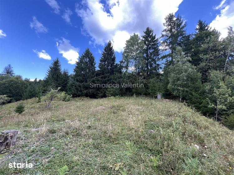 Teren intravilan Colibita 2300 mp panoramic