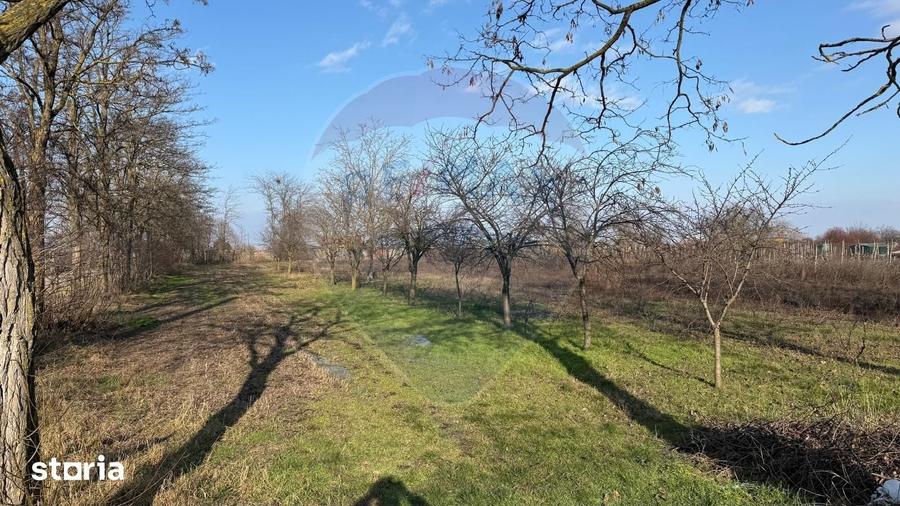 Teren de 2300 mp, în Vânători