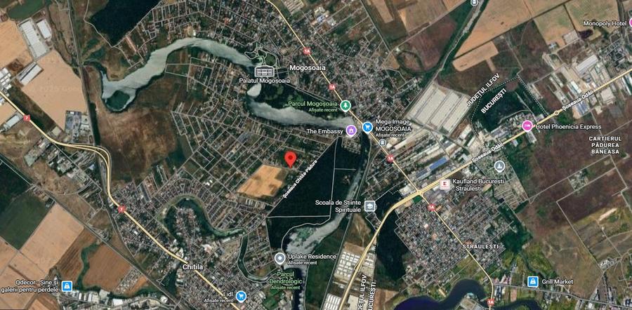 Teren 1000 mp în Mogoșoaia, la 5 minute de pădure - 11