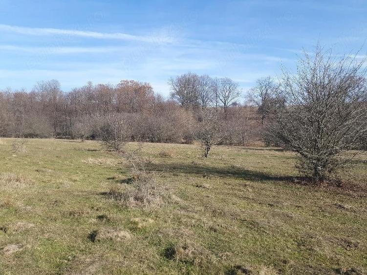 Teren de 4100 mp, în Vlădeni