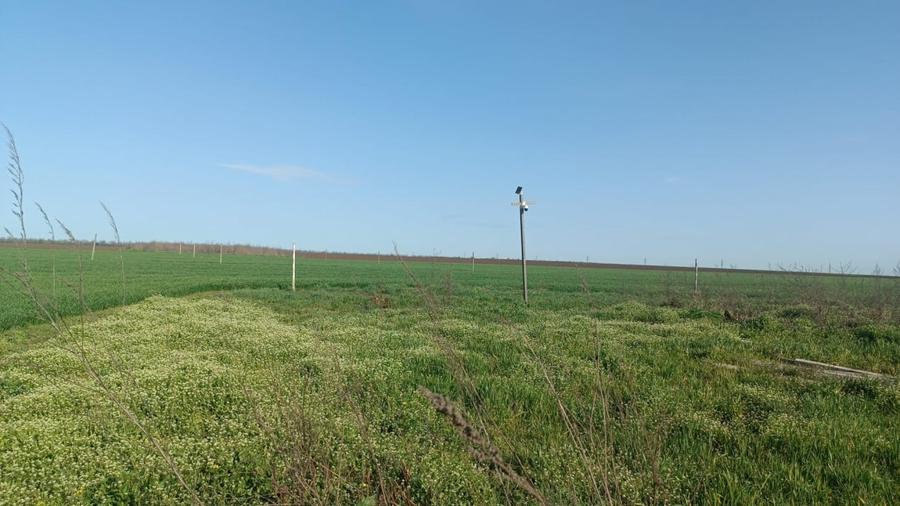 Teren agricol extravilan de 500 mp, în Costinești