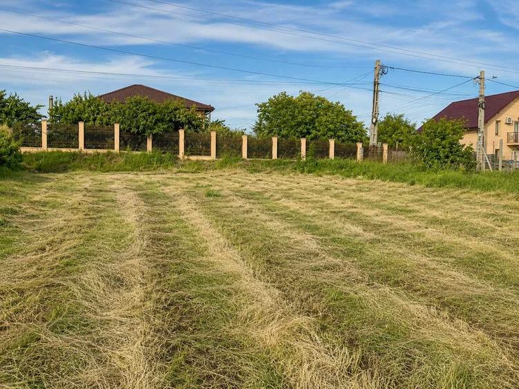 Teren agricol intravilan de 3271 mp, în Valea Lupului