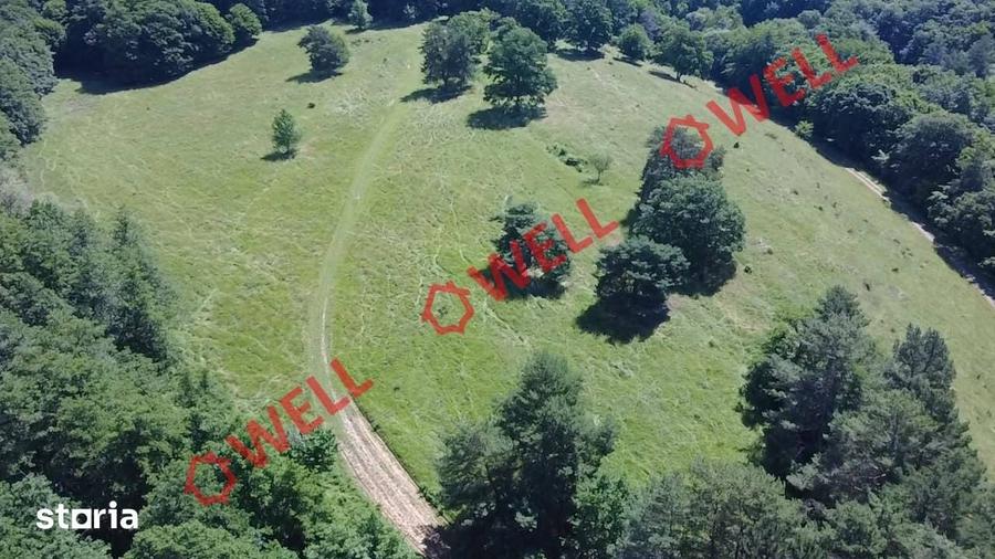 Teren de 46300 mp, în Ghidfalău