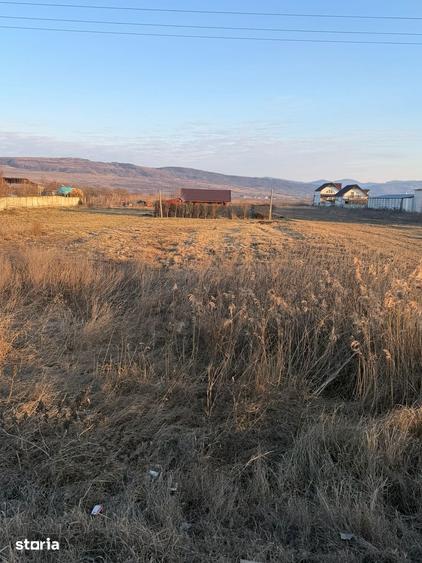 Teren de 1000 mp, în Buhoci