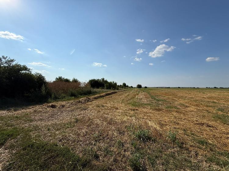 Teren Construcții intravilan de 5000 mp, în Dârza