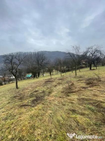 Casă cu 2 camere cu Teren 6000 Mp în Tăuții-Măgherăuș