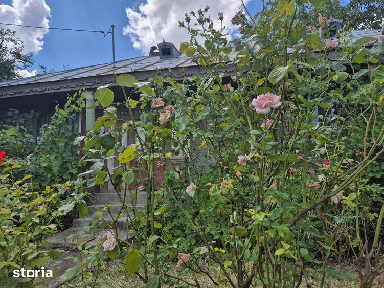 Casă cu 5 camere cu Teren 5867 Mp în Vârlezi