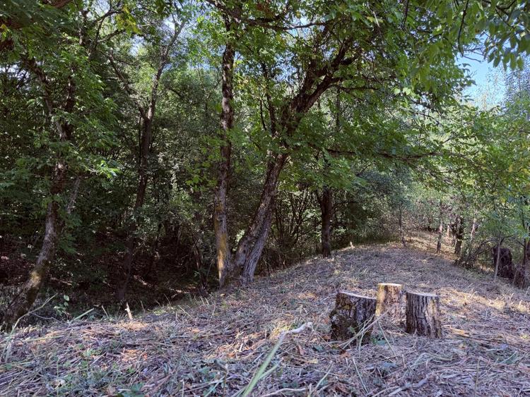 Casă individuală cu 4 camere cu Teren 4173 Mp în Văliug