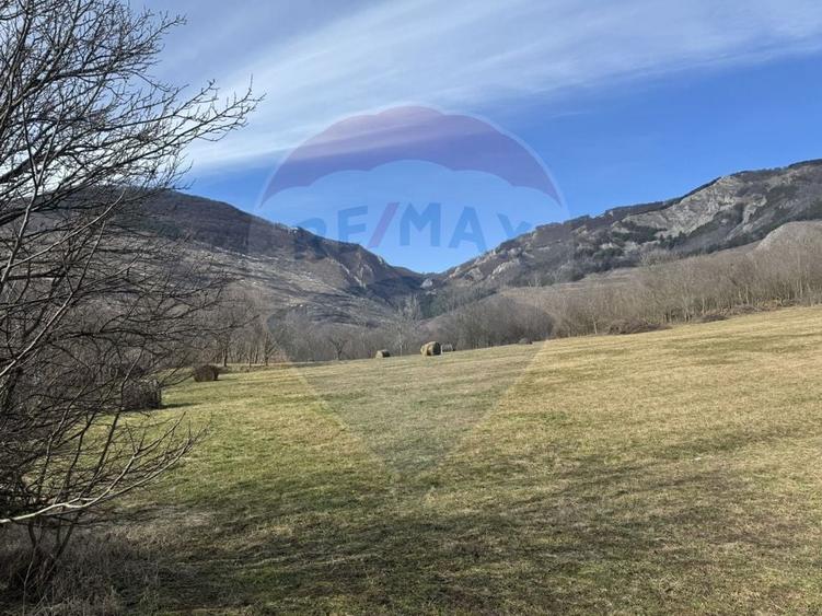 Teren Construcții intravilan de 1271 mp, în Izvoarele (Livezile)