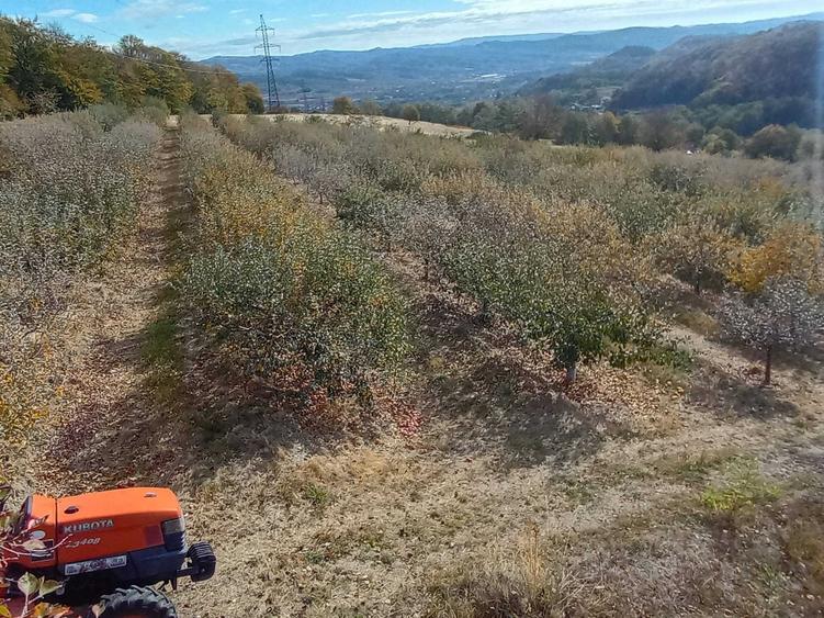 Teren de 5000 mp, în Paltenu