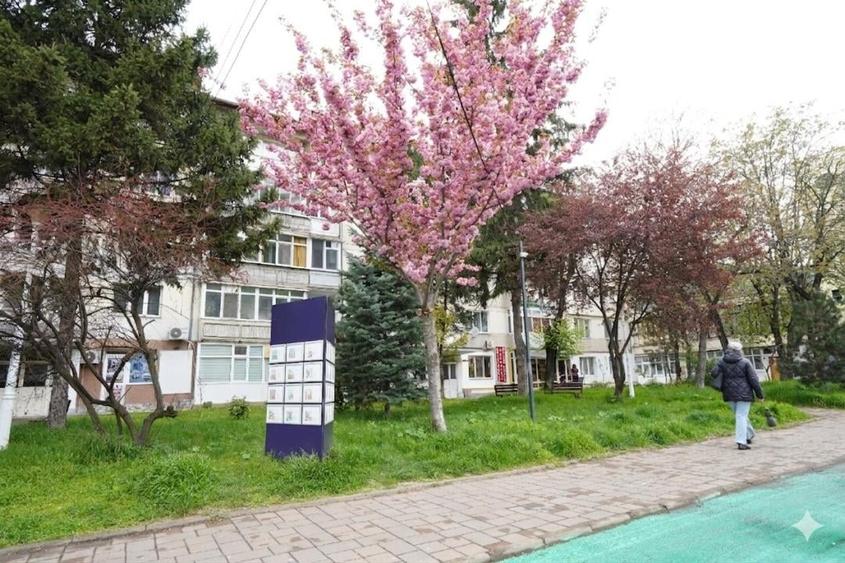 Spațiu comercial, de 24.610000610352 mp, în Central