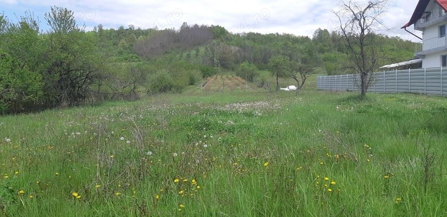 Teren de 3500 mp, în Ștefănești