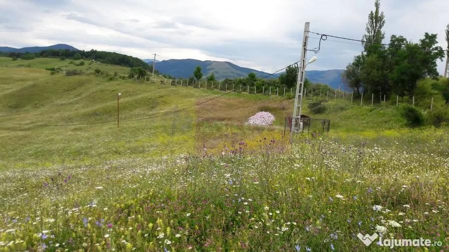 Teren de 9037 mp, în Plaiul Tălii