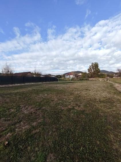 Teren Construcții intravilan de 800 mp, în Tăuții-Măgherăuș