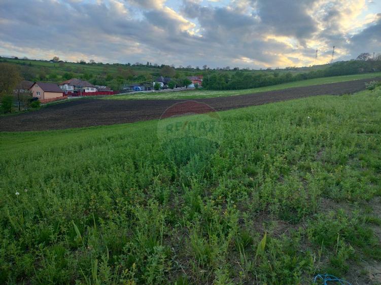 Teren de 2983 mp, în Central