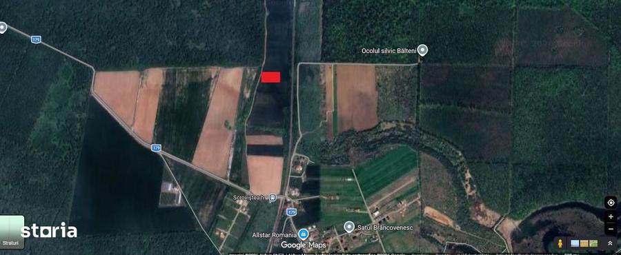 Oportunitate de investitie | Teren intravilan langa padurea Scrovistea - 1